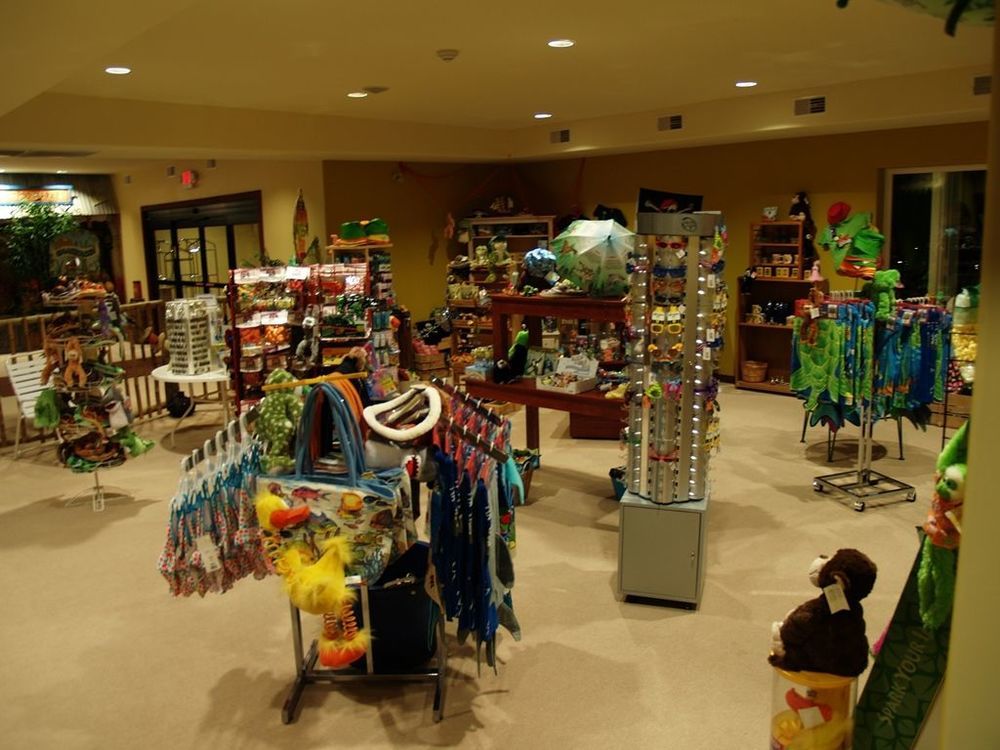 Big Splash Adventure Hotel And Indoor Water Park French Lick Faciliteter billede